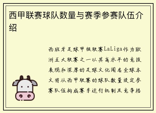 西甲联赛球队数量与赛季参赛队伍介绍
