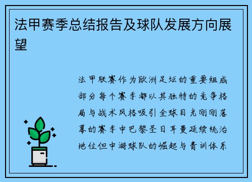 法甲赛季总结报告及球队发展方向展望